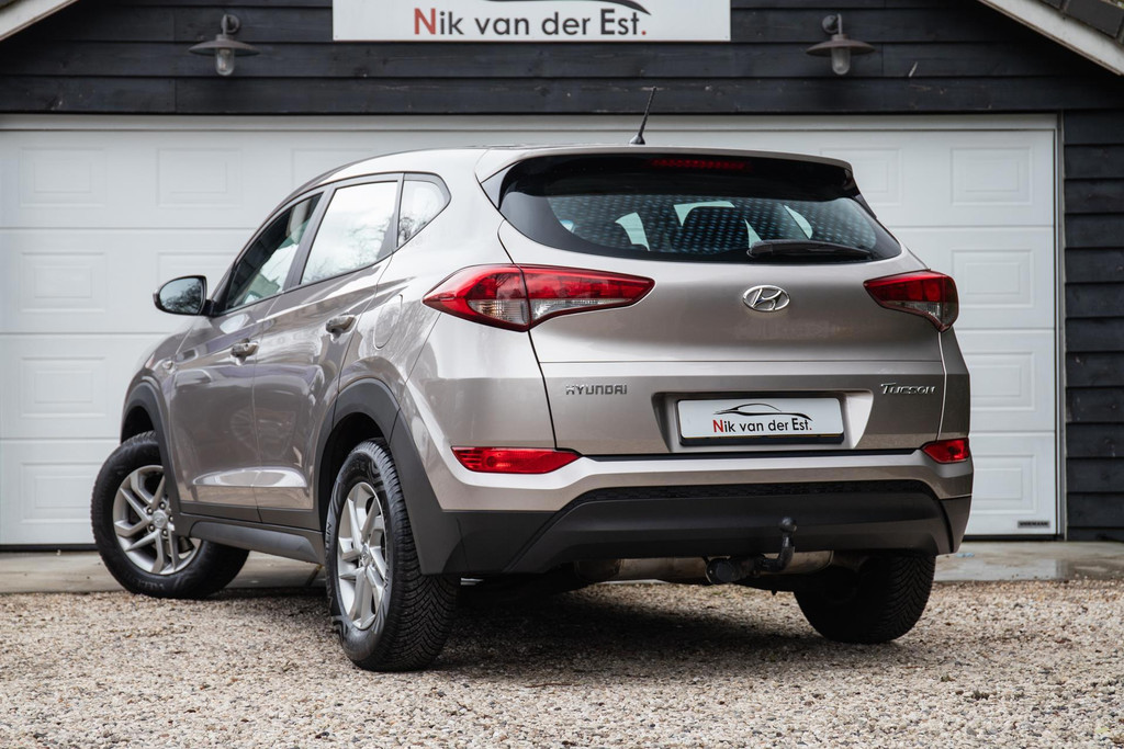 52109707-7.jpg