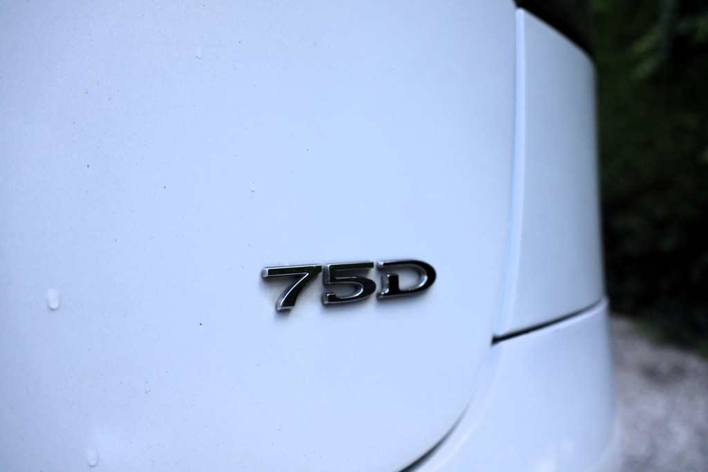 57191894-7.jpg